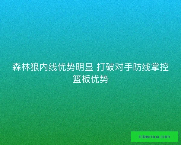 森林狼内线优势明显 打破对手防线掌控篮板优势