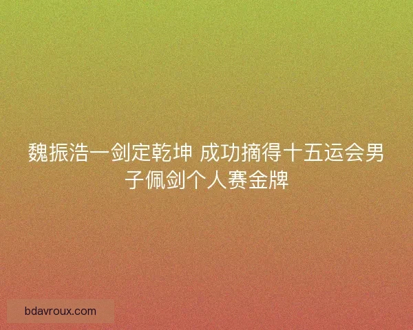 魏振浩一剑定乾坤 成功摘得十五运会男子佩剑个人赛金牌
