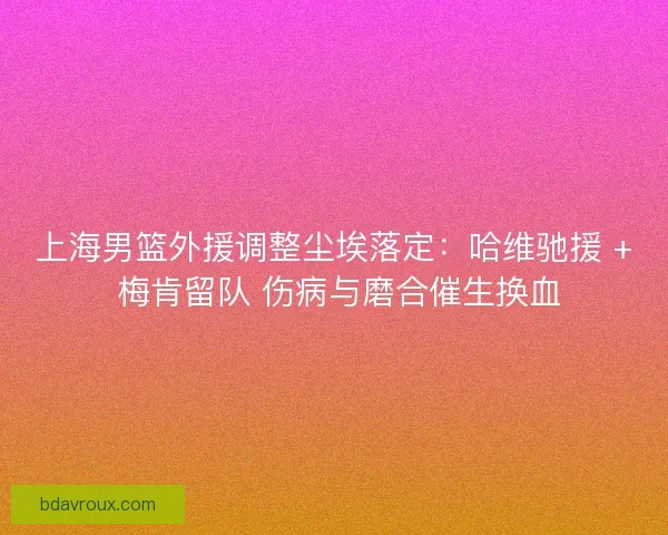 上海男篮外援调整尘埃落定：哈维驰援 + 梅肯留队 伤病与磨合催生换血